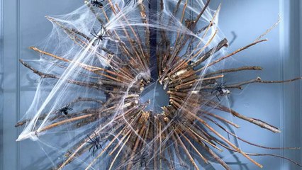 57 Eerie Outdoor Halloween Decorations