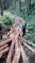 Don't work Hard...work smart