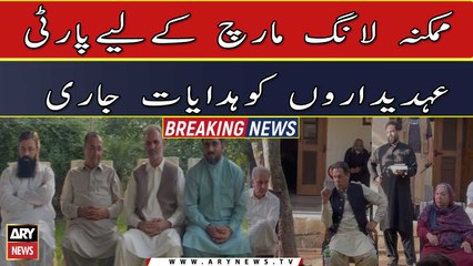 PTI Long March: Instructions given to party leaders