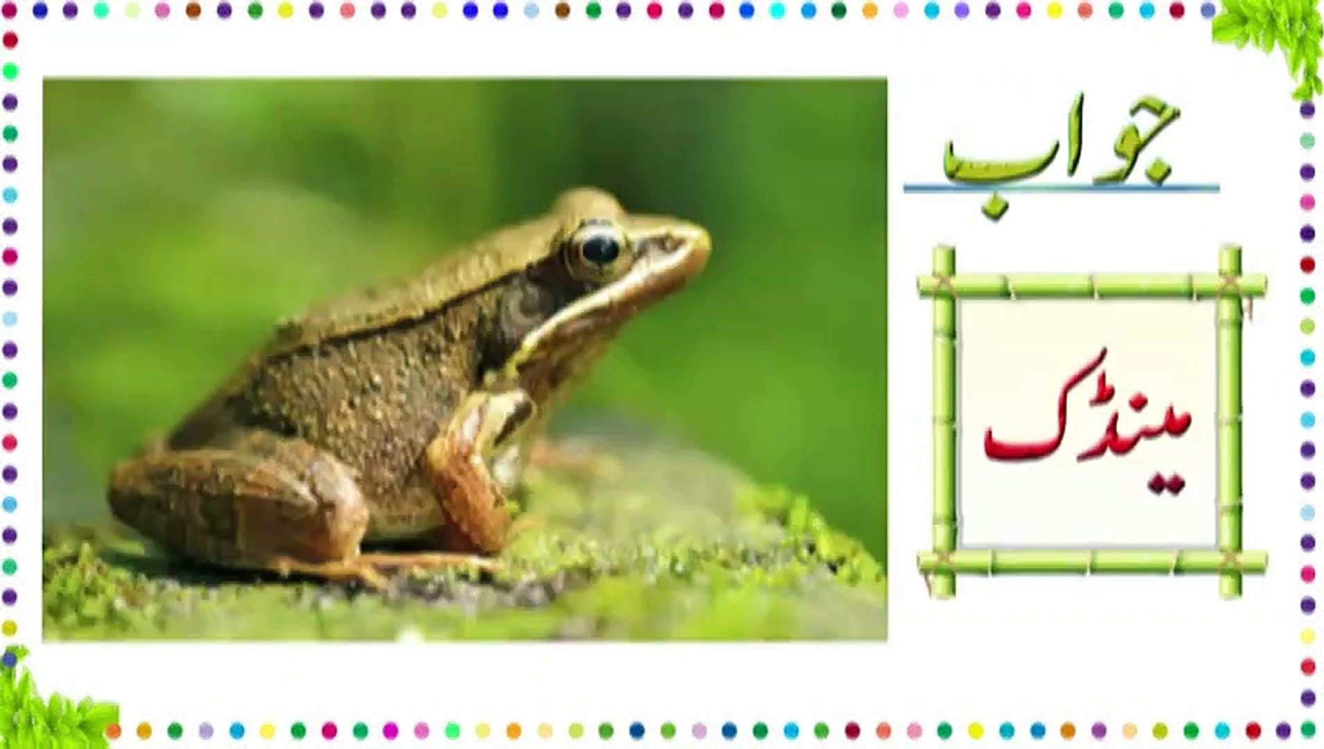 Top 116 + Hindi riddles on animals with answers