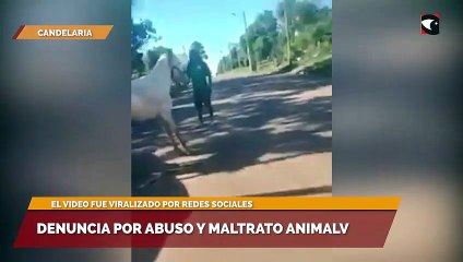 Denuncia por abuso y maltrato animal