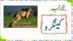 Paheliyan In Urdu - General Knowledge Questions And Answer -  Facts About Animals Brain