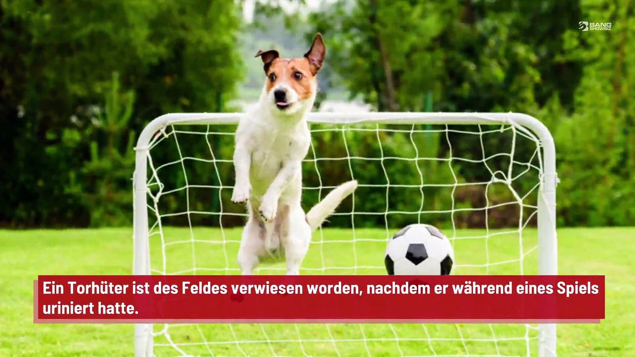Nach Urinieren während des Spiels: Platzverweis für Torhüter