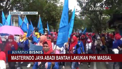 PT Masterindo Jaya Abadi Angkat Bicara Soal Isu PHK Massal, Perusahaan Pastikan Itu Tidak Benar!