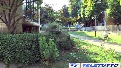 Video News - ECCO IL MUSEO DELEL SCIENZE