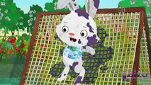 Super Why - Peter Rabbit (Reversed)