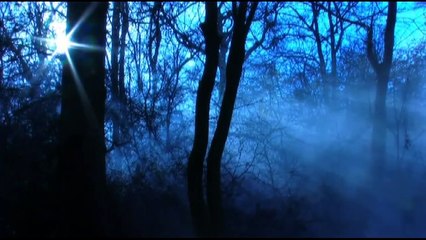 Broken (Jogos Sangrentos) Bande-annonce (EN)