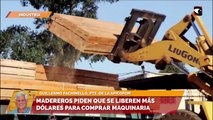 Madereros piden que se liberen más dólares para comprar maquinaria