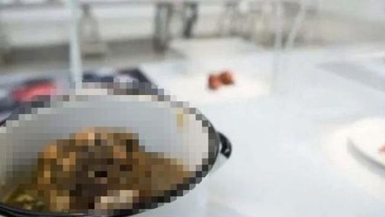 Dünyanın en iğrenç yemekleri müzesi! İçeride Türkiye'de yapılan bir yemek de var