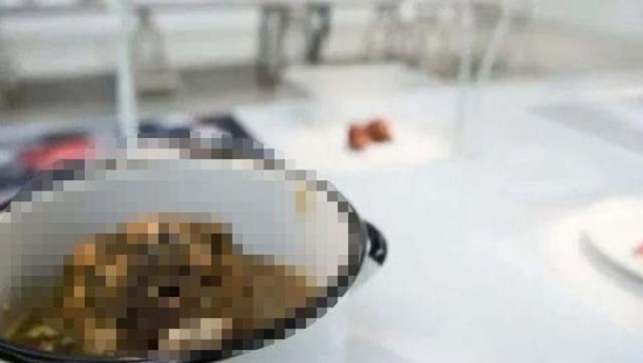 Dünyanın en iğrenç yemekleri müzesi! İçeride Tü...
