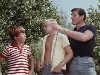 Flipper Staffel 2 Folge 2 HD Deutsch