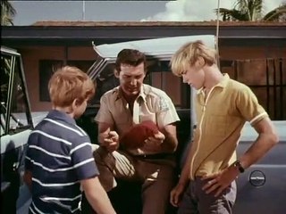 Flipper Staffel 2 Folge 5 HD Deutsch