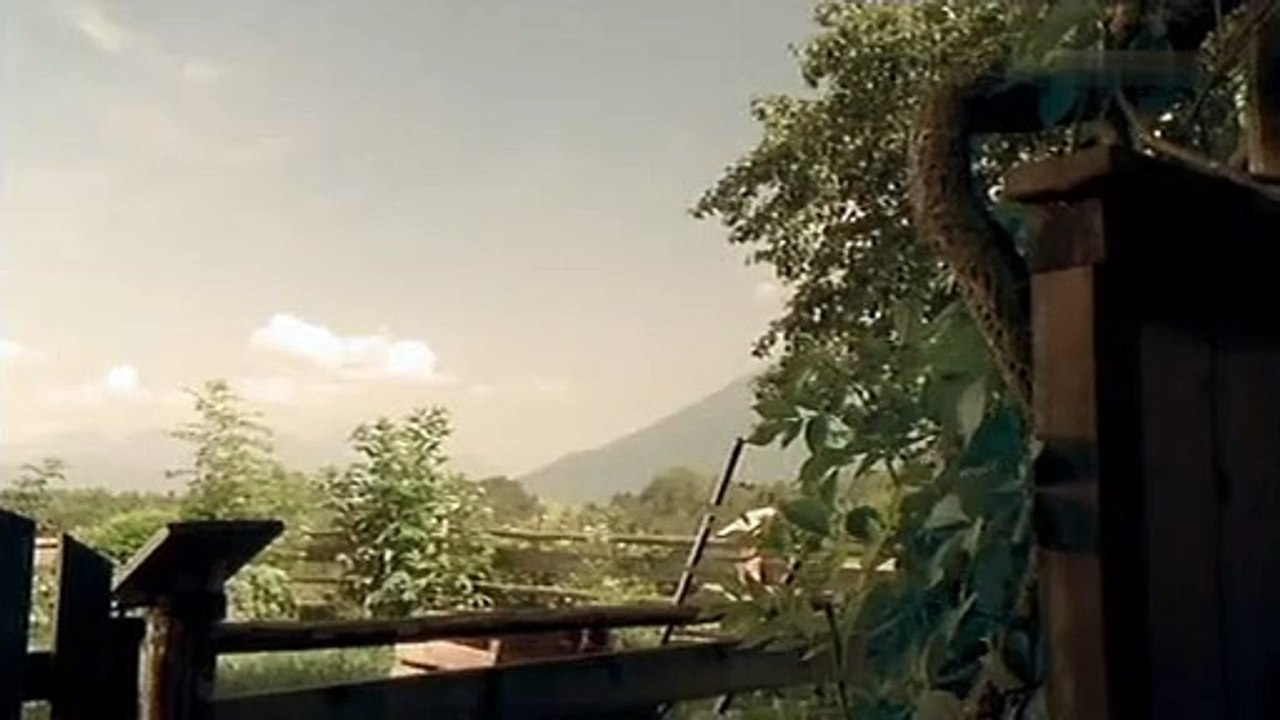 Tatort Staffel 32 Folge 15 - Part 02 HD Deutsch