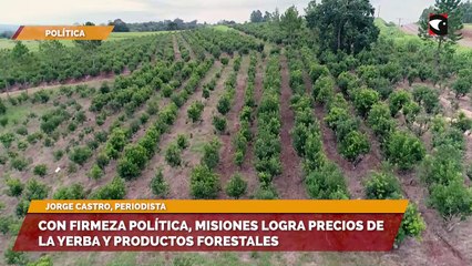 Sala Cinco  Nuevo precio de la yerba direccionado estratégicamente por la renovación