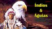 Índios e Águias –   Relaxamento e Cultura com Flautas Nativas Indígenas (HD)