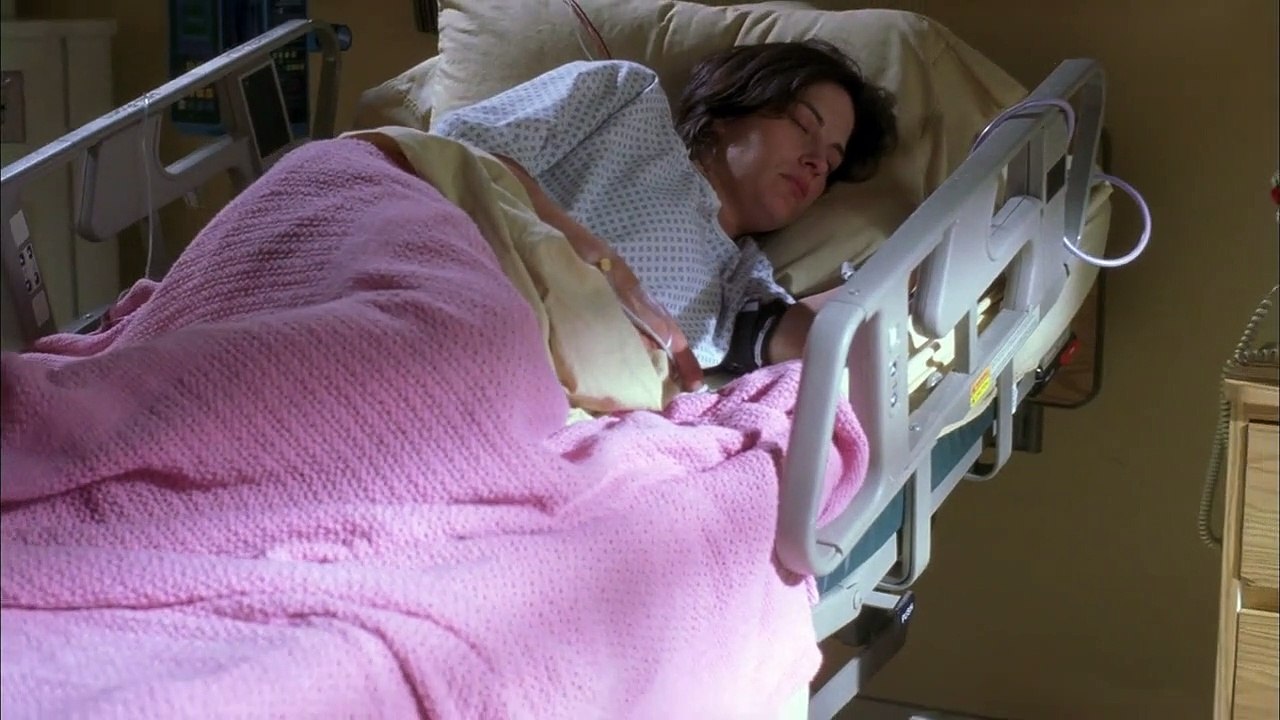 The Guardian - Retter mit Herz Staffel 3 Folge 22 HD Deutsch