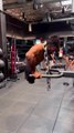Gym workout video  gym status  fitness video #gym
