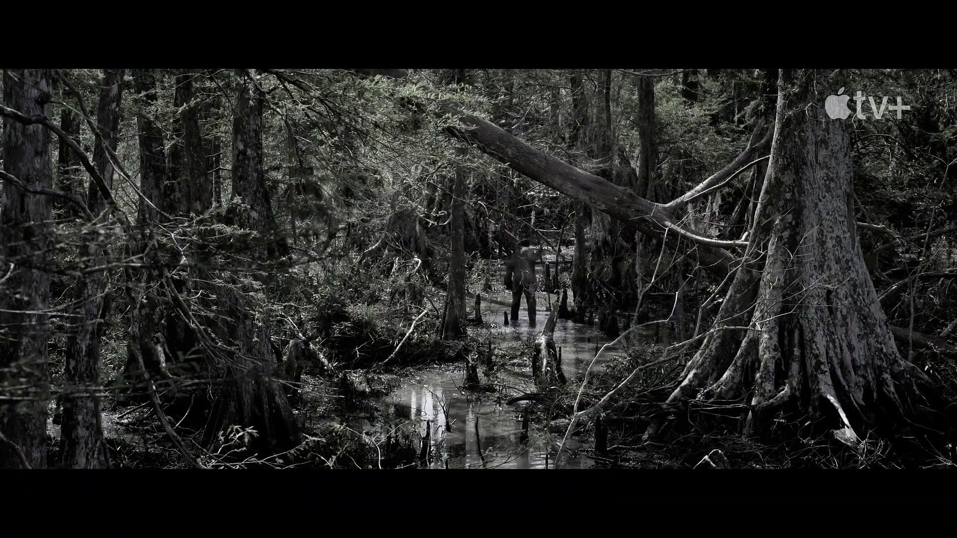 EMANCIPATION Trailer Teaser 2022 4K Movies