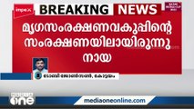 കോട്ടയം ഏറ്റുമാനൂരിൽ ഏഴ് പേരെ കടിച്ച നായക്ക് പേവിഷബാധ സ്ഥിരീകരിച്ചു | Kottayam |