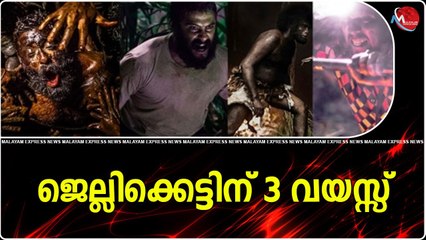 ജെല്ലിക്കെട്ടിന് 3 വയസ്സ്