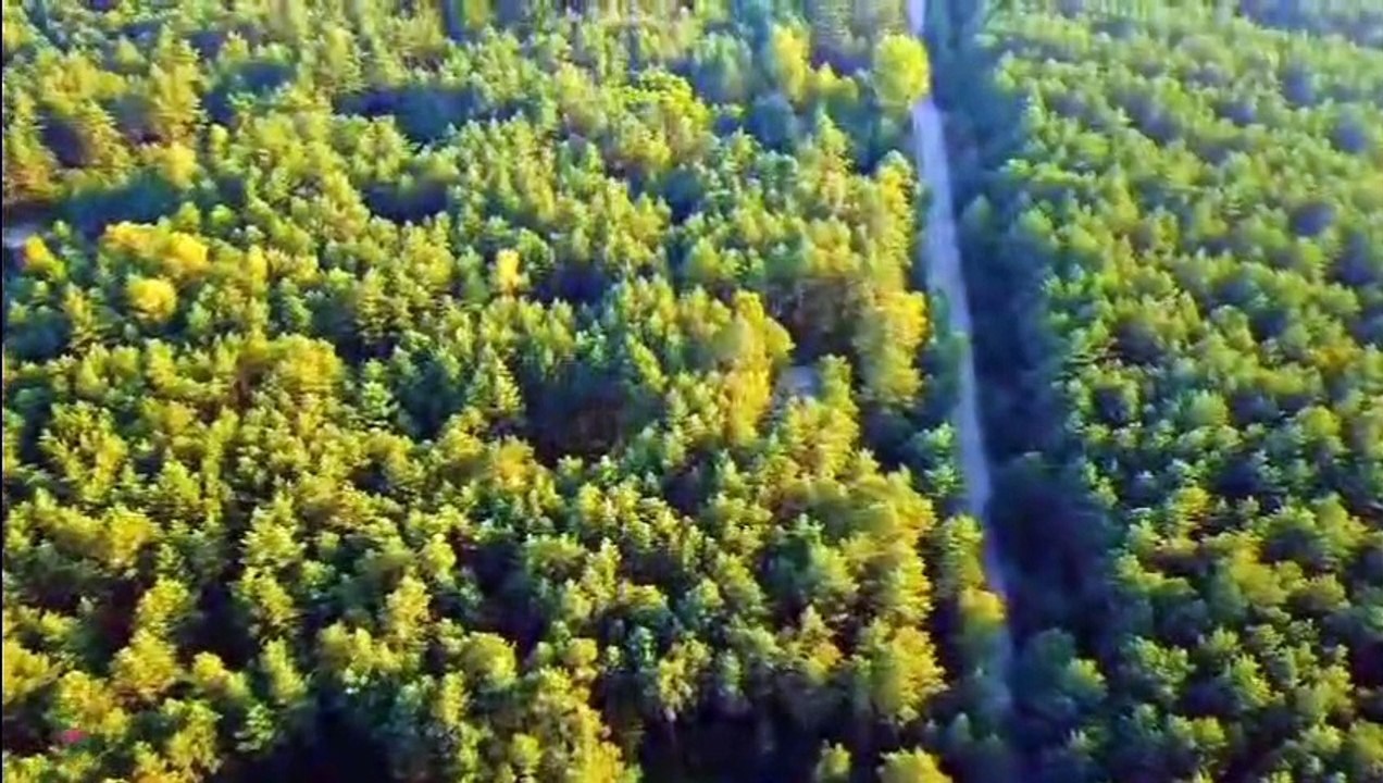 Musique relaxante pour reposer l'esprit, le stress, l'anxiété. méditation, relaxation et sommeil