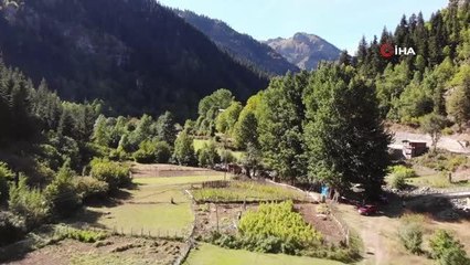 Köylerde kış hazırlıkları başladı