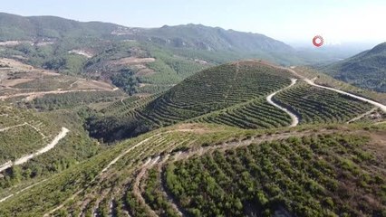 Son dakika haberi | Yangının izleri silindi... Afet evlerinde teslimat için geri sayım başladı