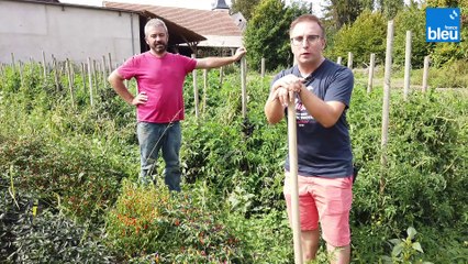 Ferme Obrecht à Handschuheim, les piments de Jean-Michel