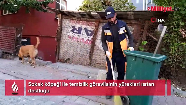 Sokak köpeği ile temizlik görevlisinin yürekleri ısıtan dostluğu