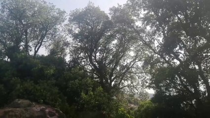 أنا متزوجة ولصقني صاحبي نتزوج به طليقتو   ولكن لي وقع مفاجأة كبرى  ماحسابنيش هاكا