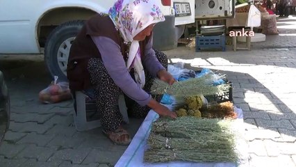 83 yaşındaki yaşlı kadın: Canım lahana istiyor alamıyorum, aç da kalıyorum