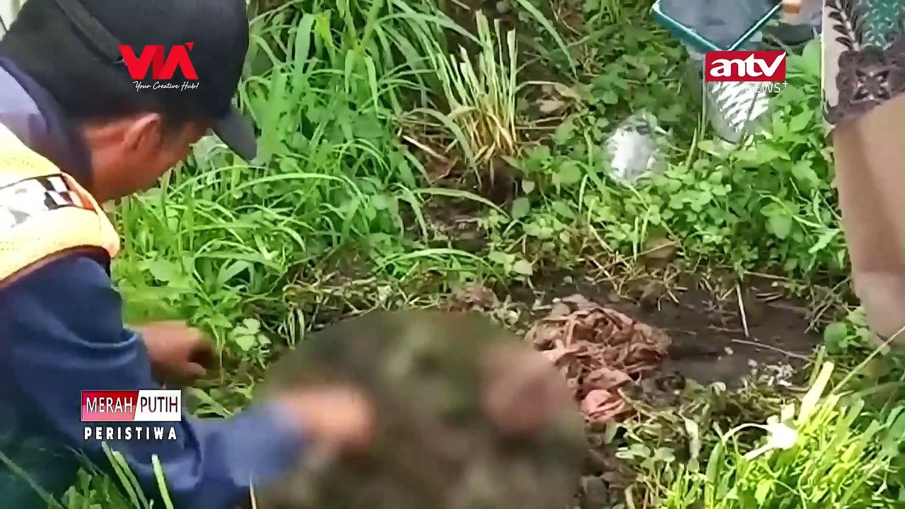 GEMPAR! AKSI MUTILASI KUCING
