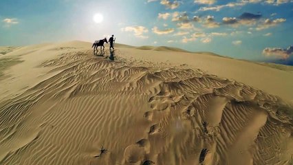 David et Goliath Bande-annonce (EN)