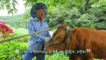 한국기행 - Korea travel_함께라서 좋아 2부- 산골 노부부가 사는 법_#001