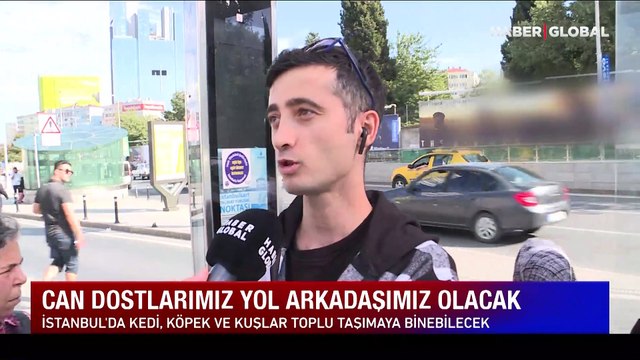 İstanbul'da toplu taşıma araçlarında evcil hayvanlar seyahat edebilecek