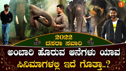 Jambu Savari: ಅಂಬಾರಿ ಹೊರುವ ಆನೆಗಳ ರೋಚಕ ಕಥೆ | Mysore Savaari |