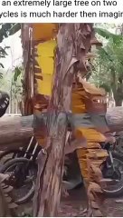 सुपर हिट धोखा जो ( 640 X 360 )