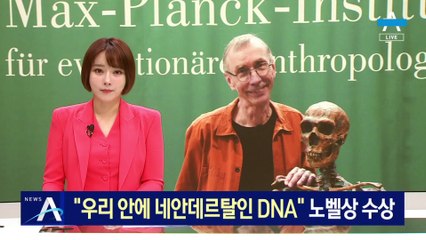 “우리 안에 네안데르탈인 DNA”…파보, 노벨 생리의학상 수상