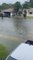Person Spots Alligator on Flooded Street in Front of His House After Hurricane