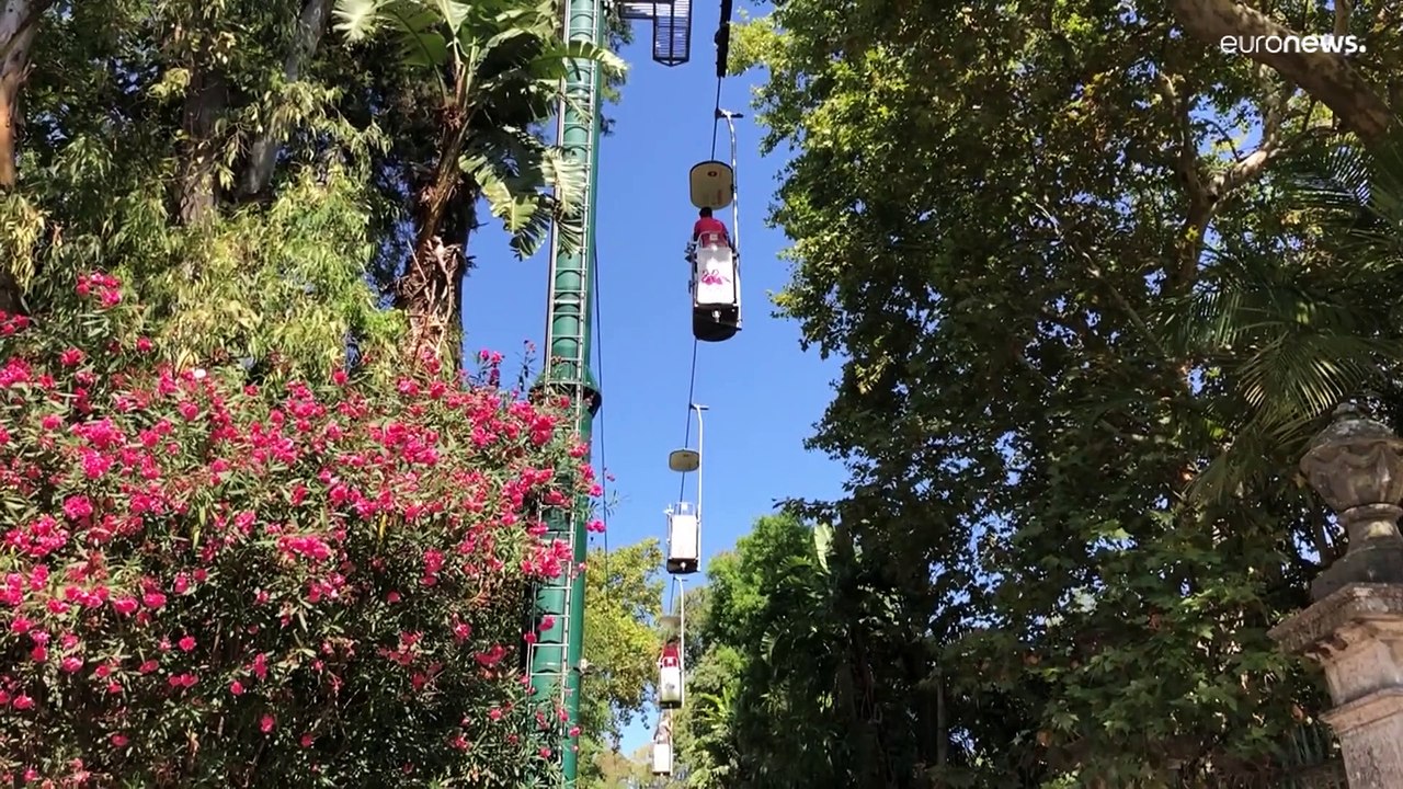 Les zoos sont-ils une solution face à l'extinction des espèces ?