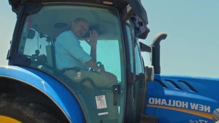 Aydın yerel haberi: Didim Belediyesi'nin Ektiği Ayçiçekleri Hasata Hazır