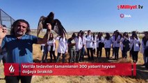 Van'da tedavileri tamamlanan 300 yabani hayvan doğaya bırakıldı