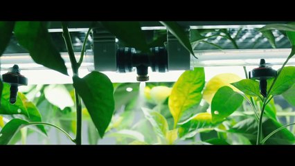 Voyagers Bande-annonce (EN)