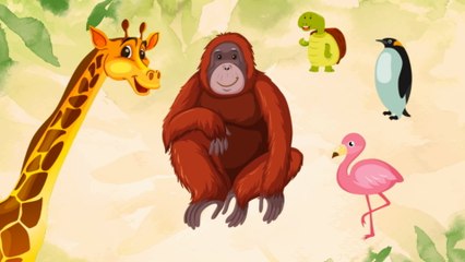 Volker Rosin - Der Zug zum Zoo (Lyric Video)