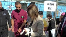 Nevşehir haberleri! Nevşehir Valisi ilk defa kediye dokundu