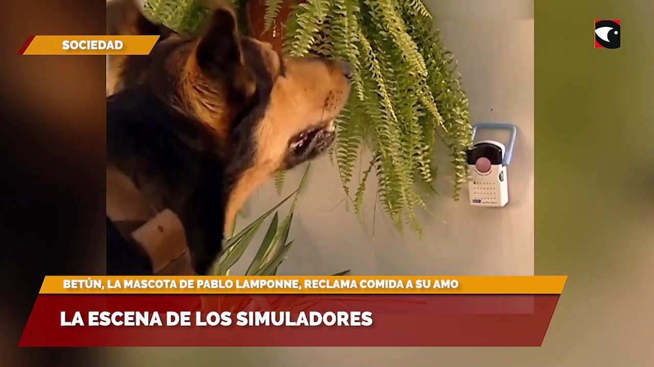 La escena de Los Simuladores
