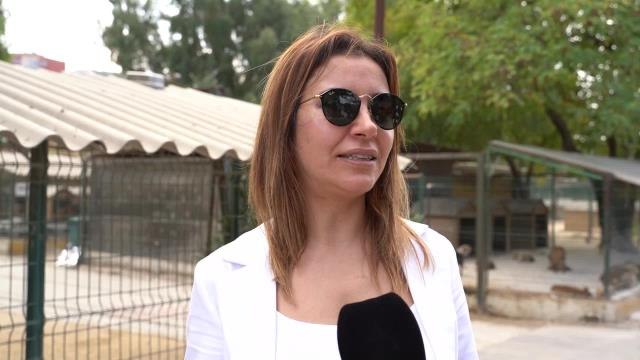 Hatay haberleri... Hatay Büyükşehir Belediyesi Barınağı Öğrencileri Konuk Etti