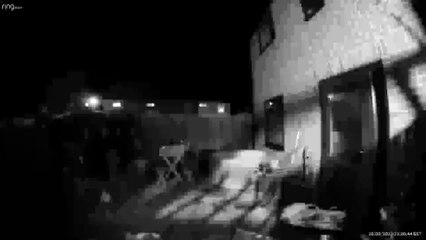 CCTV shows man attempting to steal hot tub in garden
