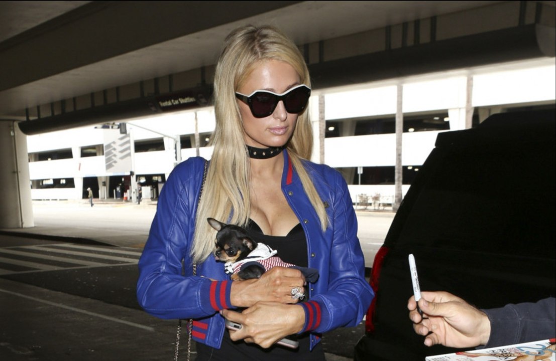 Paris Hilton: Laut Hellseher lebt ihr Hund