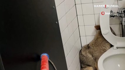 Okul tuvaletinden çıktı öğrencileri şoke etti!